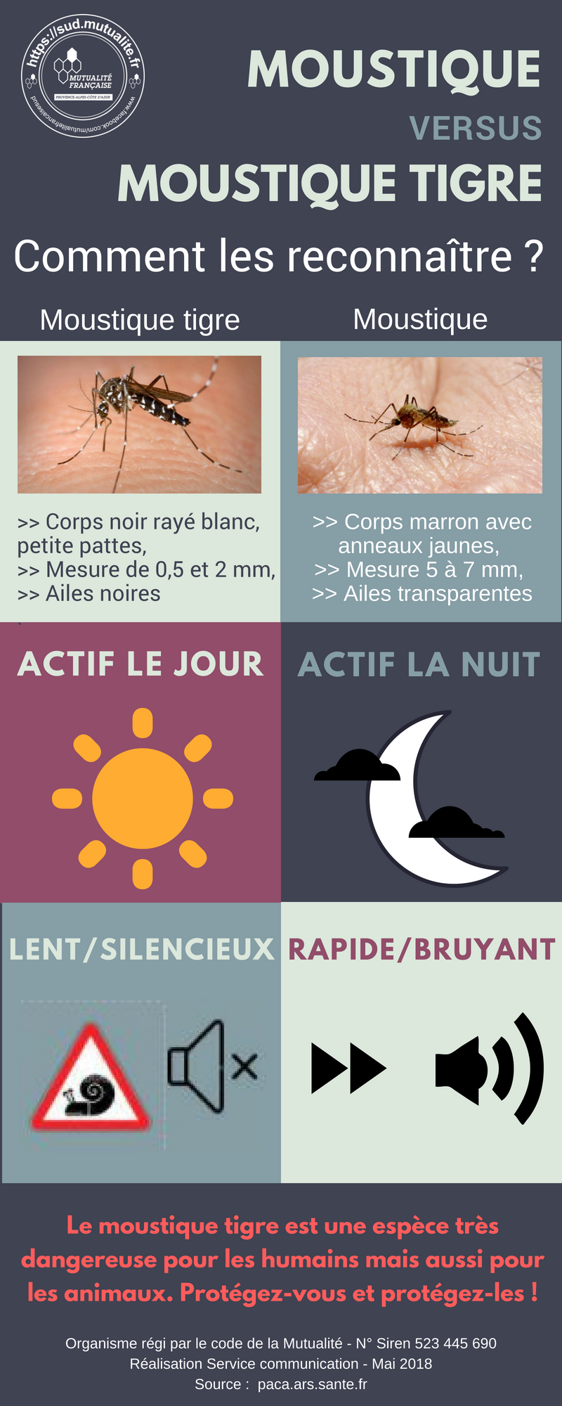 Moustiques : un patch miraculeux contre leurs piqûres ?
